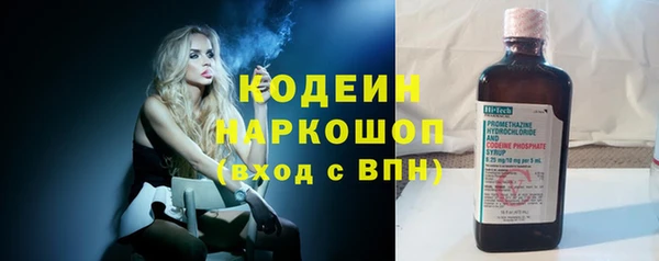 ГАЛЛЮЦИНОГЕННЫЕ ГРИБЫ Няндома