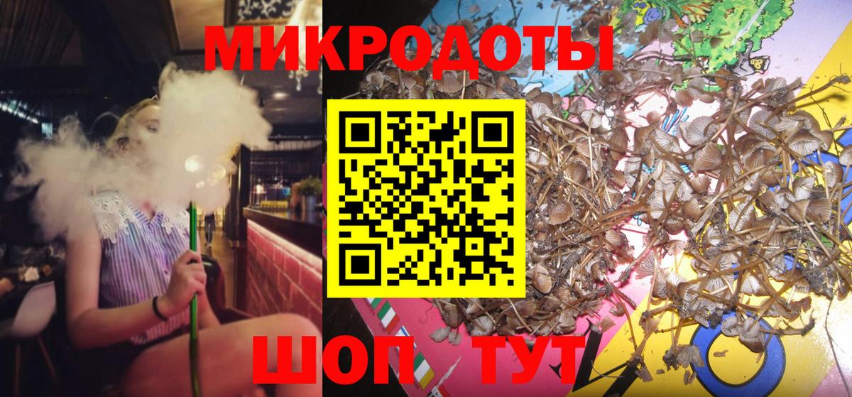 Рославль  Псилоцибиновые грибы Psilocybe  Вход с VPN  Псилоцибиновые грибы мицелий 